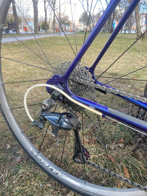 Lewis Cycles Ultegra Dura Ace upgraded 3