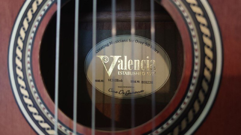 Детская гитара Valencia vc203 в чехле 4