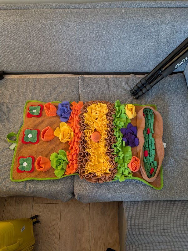 Поисковый коврик, переноска для животных