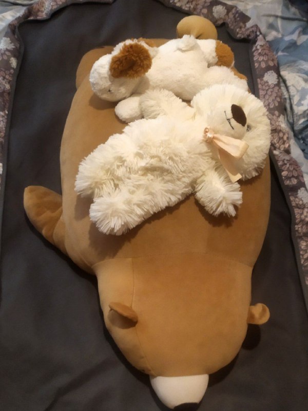 Шар лабиринт, игра рыбалка, мягкие игрушки, воздушные шары 3