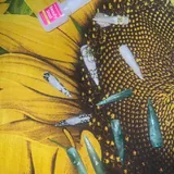 Designer dreamcore nail tips 4
