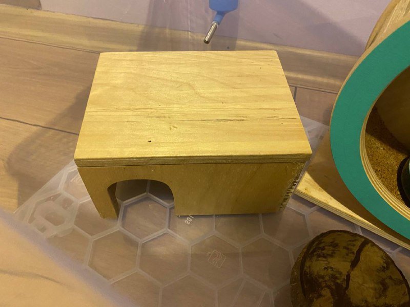 Дом-контейнер для хомячка с аксессуарами 6