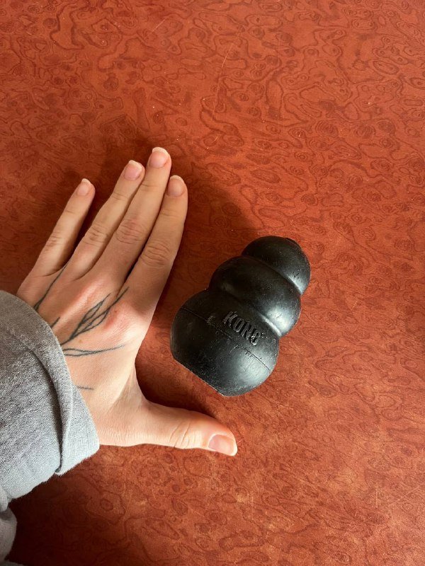 шампунь для собак и кошек, коврик силиконовый, ножницы для когтей, маленький Kong, жевательные палочки 4