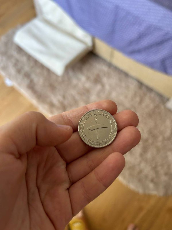 Суданская монета 20 лари 2