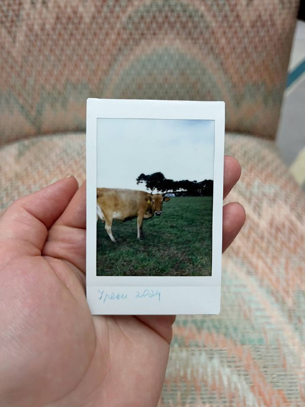 Fujifilm Instax Mini 90 Neo Classic камера 2
