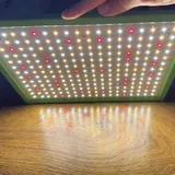 Фитолампы Quantum Board UPD200W и Gerylove SP1000 10