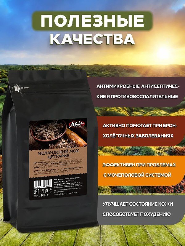 Исландский мох цетрария 2