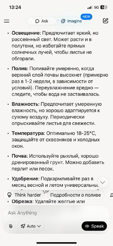 Цветок Эпиремнум 70 см без горшка 2