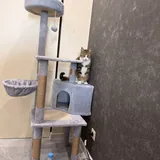 Домик для кота 3