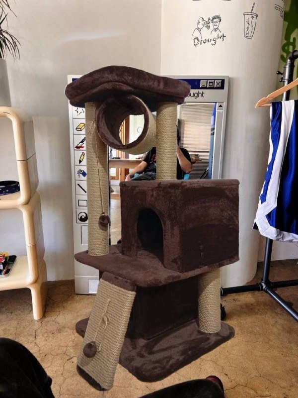 Новая когтеточка для кошек с домиками и туннелем