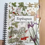 Альбом для гербария 1