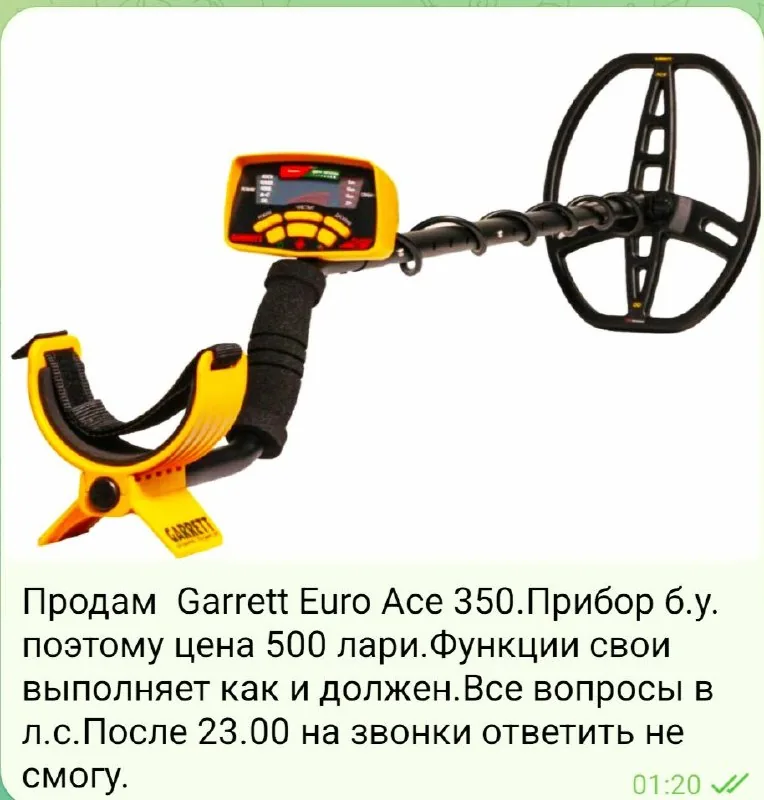 Garrett Euro Ace 350, зарядное устройство, аккумуляторы