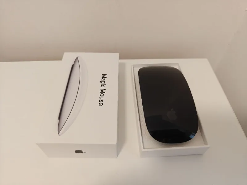 Magic Mouse 2 1