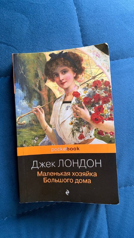 Книга Джек Лондон Маленькая хозяйка Большого дома