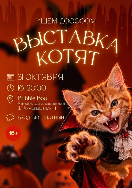 Выставка спасённых котят