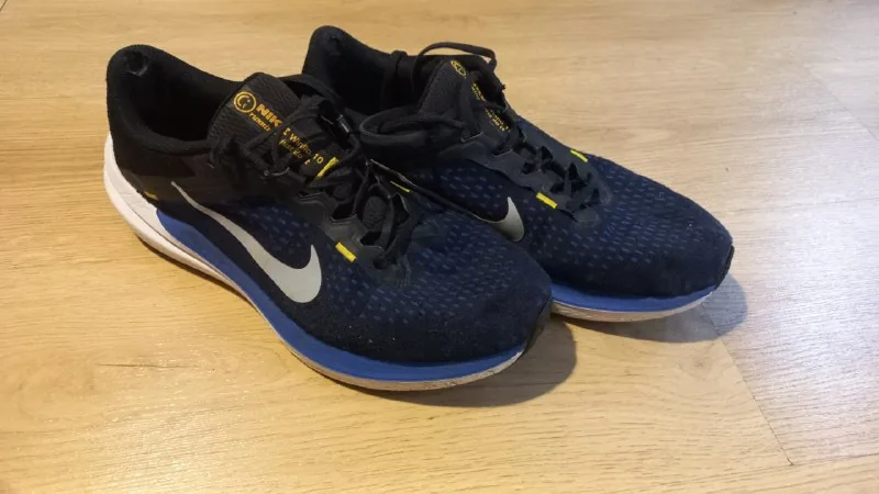 Кроссовки Nike Winflo 10 1