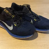 Кроссовки Nike Winflo 10 1