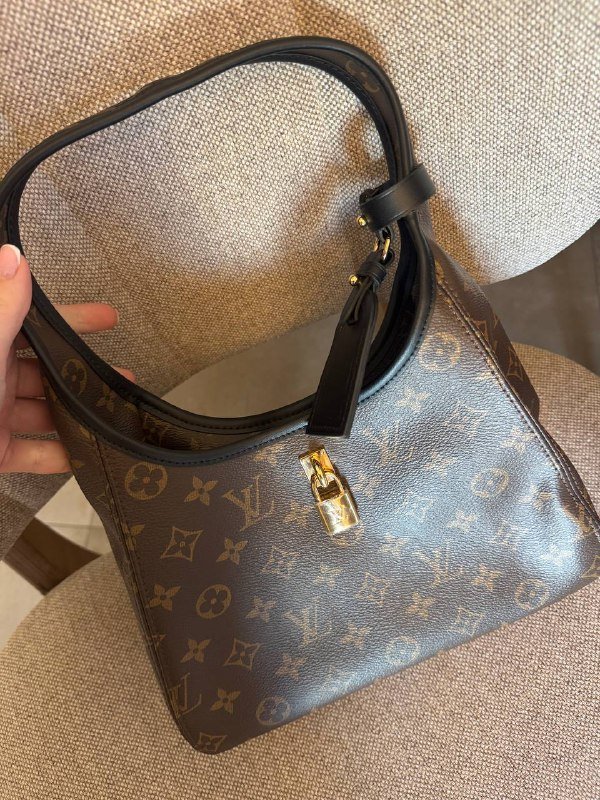 Сумка Louis Vuitton с шарфом и документами 3