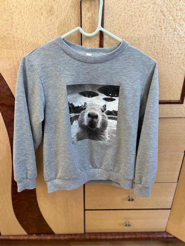 Тренч, Кофта свободная, Платье с открытым плечом, Кофта с капибарой 4