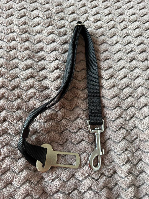 Видеорегистратор 70mai Midrive D06, кабель micro-USB, держалка для собаки в автомобиль 5