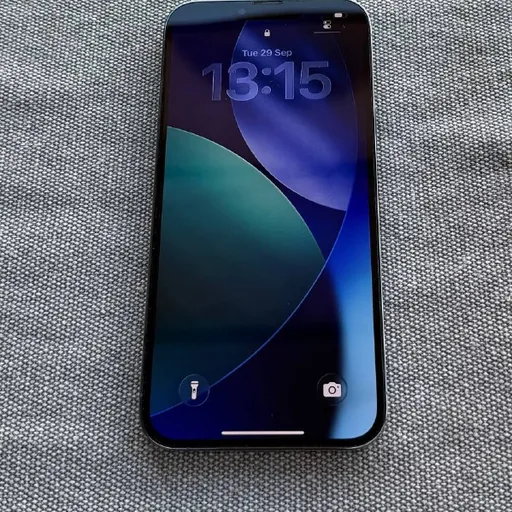 iPhone 13 Pro Max 256 GB Sierra Blue