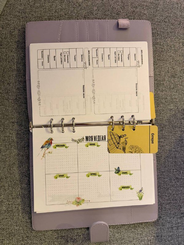 Аэрограф, кольца для выпекания, шпатель, коробки для тортов, столик, перчатки, блокнот 8