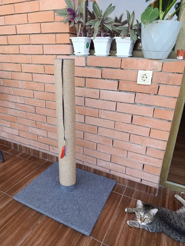 Когтеточки новые