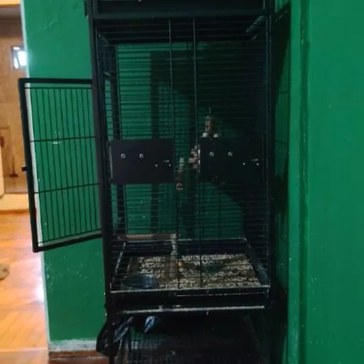 Large parrot cage with accessories