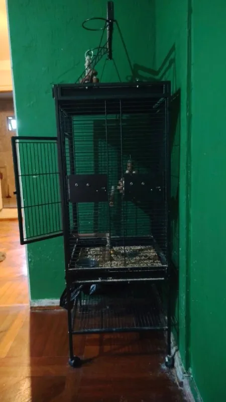 Large parrot cage with accessories 1
