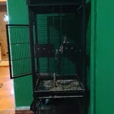 Large parrot cage with accessories 1