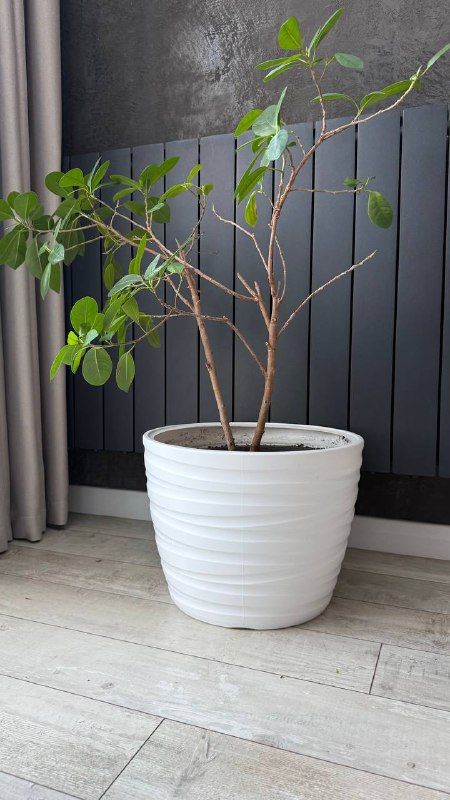 Два горшка 18 литров каждый 3