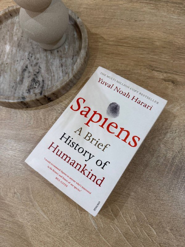 Манчкин классический, легендарный и дополнение с котами, Sapiens, Джесси Шелл Геймдизайн 3