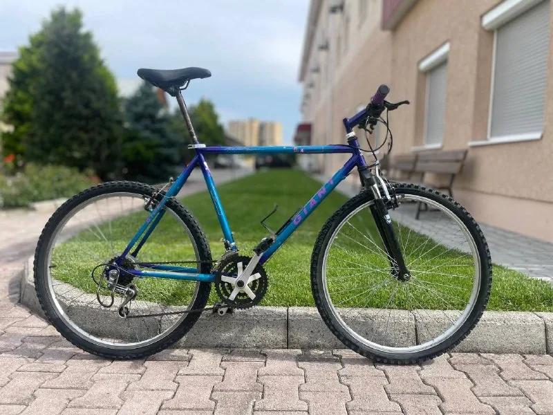 Giant Bike 1