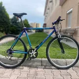 Giant Bike 1