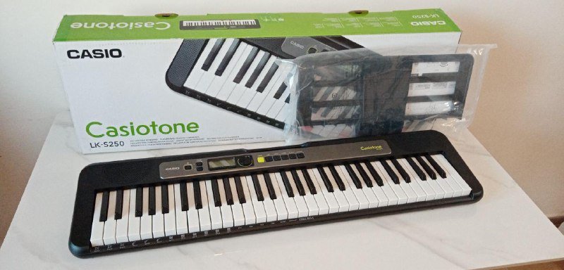 Синтезатор Casiotone LK-S250 1