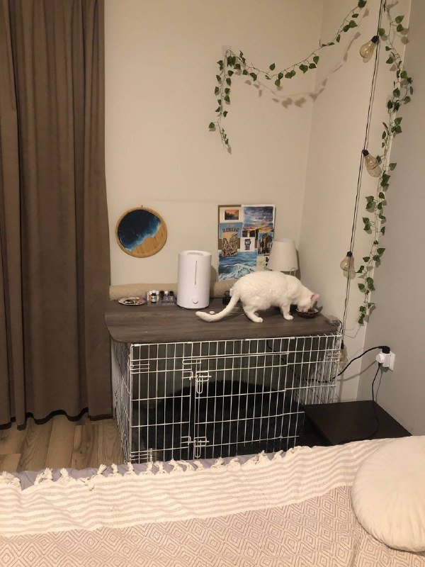 Клетка для собак, столешница и лежанка комплектом 2