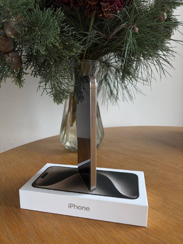 iPhone 15 Pro Max 256 GB серый титан 2