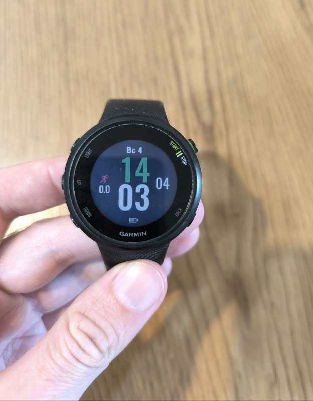 Беговые смарт часы Garmin Forerunner 45 1