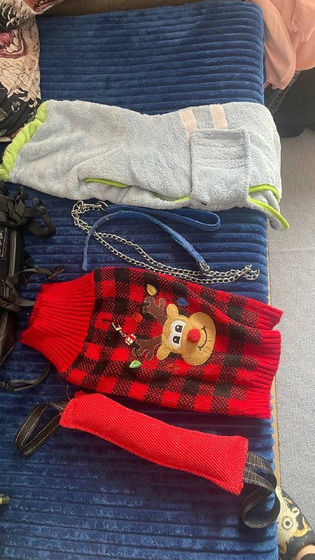 Костюм динозавра, свитер с оленем, грызунок, поводок для собаки