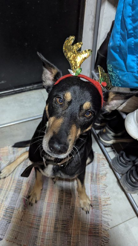 Новогодний набор украшений, костюмы Дед Мороз и Снегурочка, гирлянды 7