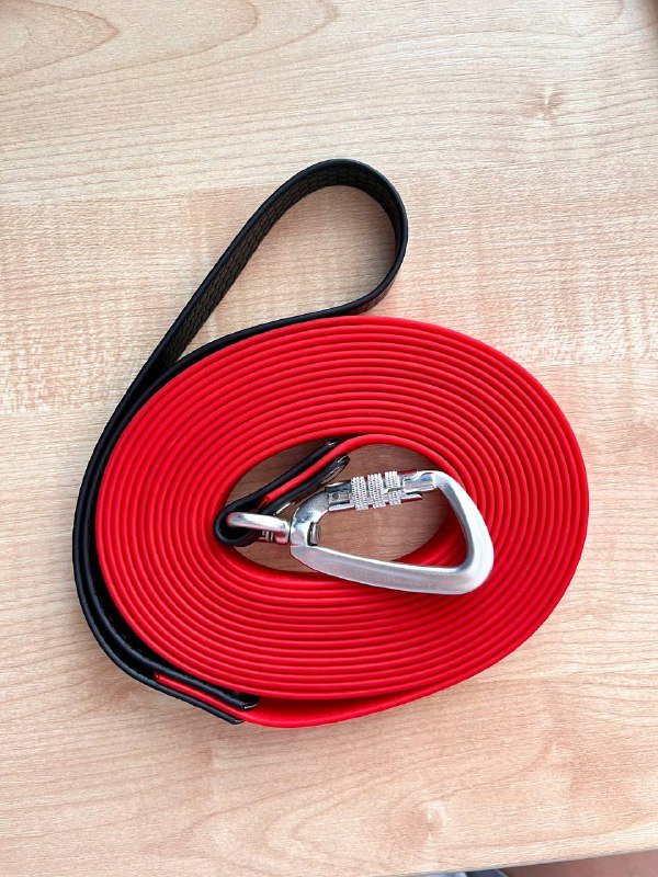 Собачьи вещи: худи, поводки, ошейники 3