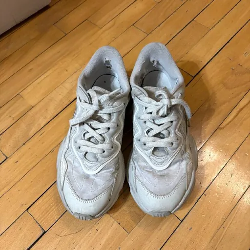 Кроссовки Adidas Ozweego