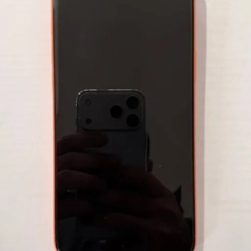 iPhone 17 Pro Max 256 GB eSIM
