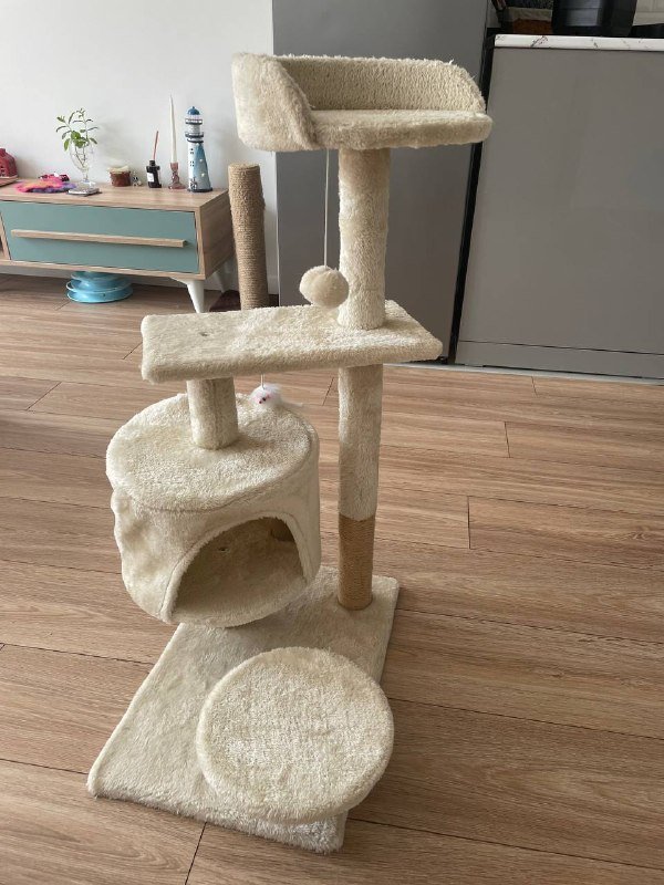 Кошачий домик