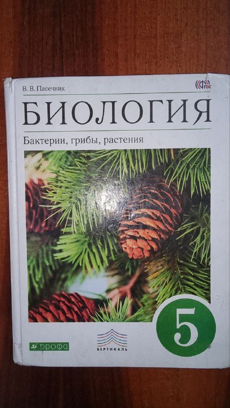 Биология Пасечник, Развивающие задачки, Математика Виленкин, Математика Дорофеев, Английский grammar time