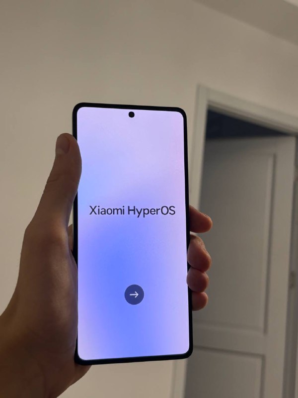 Xiaomi Redmi Note 13 Pro 8/257