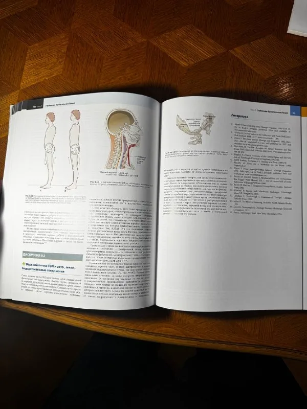 Книга, фотоаппарат, часы, очки, браслет, панама 4