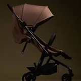 Stroller 3