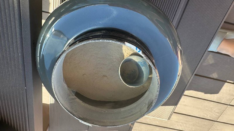 Plant protein Applied Nutrition, Whey Protein Animal 3