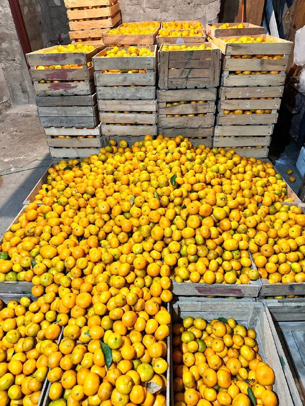 Мандарины килограмм